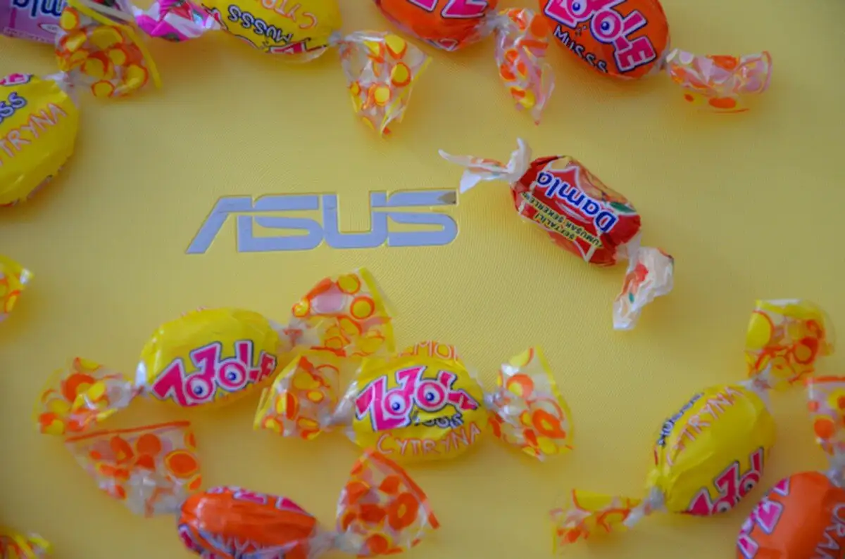 Fotogaléria Macrosoft