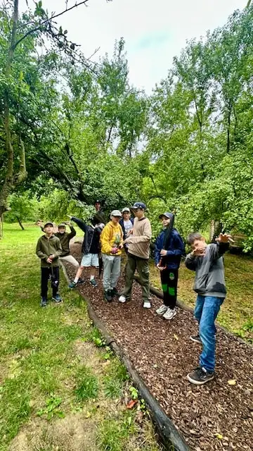 Fotogaléria Macrosoft