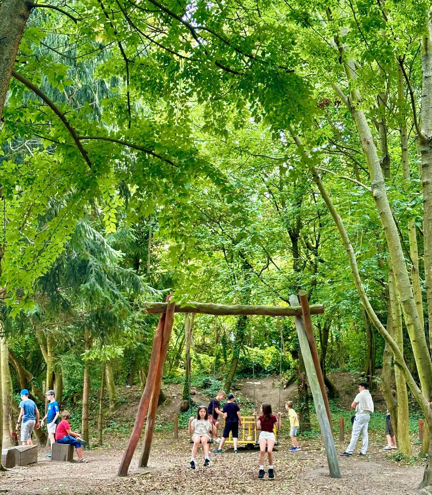 Fotogaléria Macrosoft