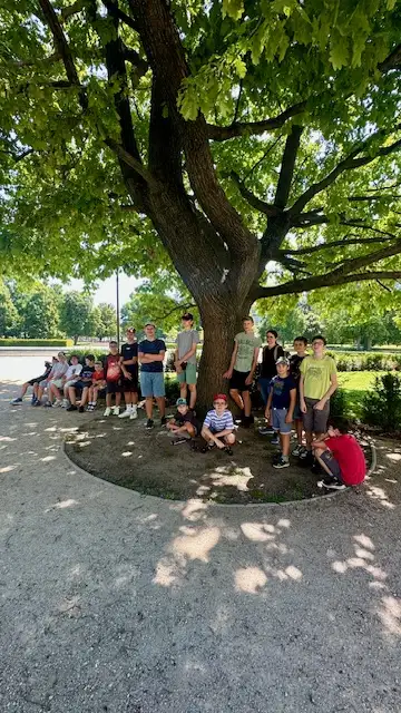 Fotogaléria Macrosoft